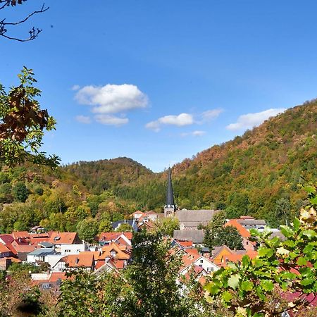 Willa Poolhaus Im Suedharz Harztor Zewnętrze zdjęcie