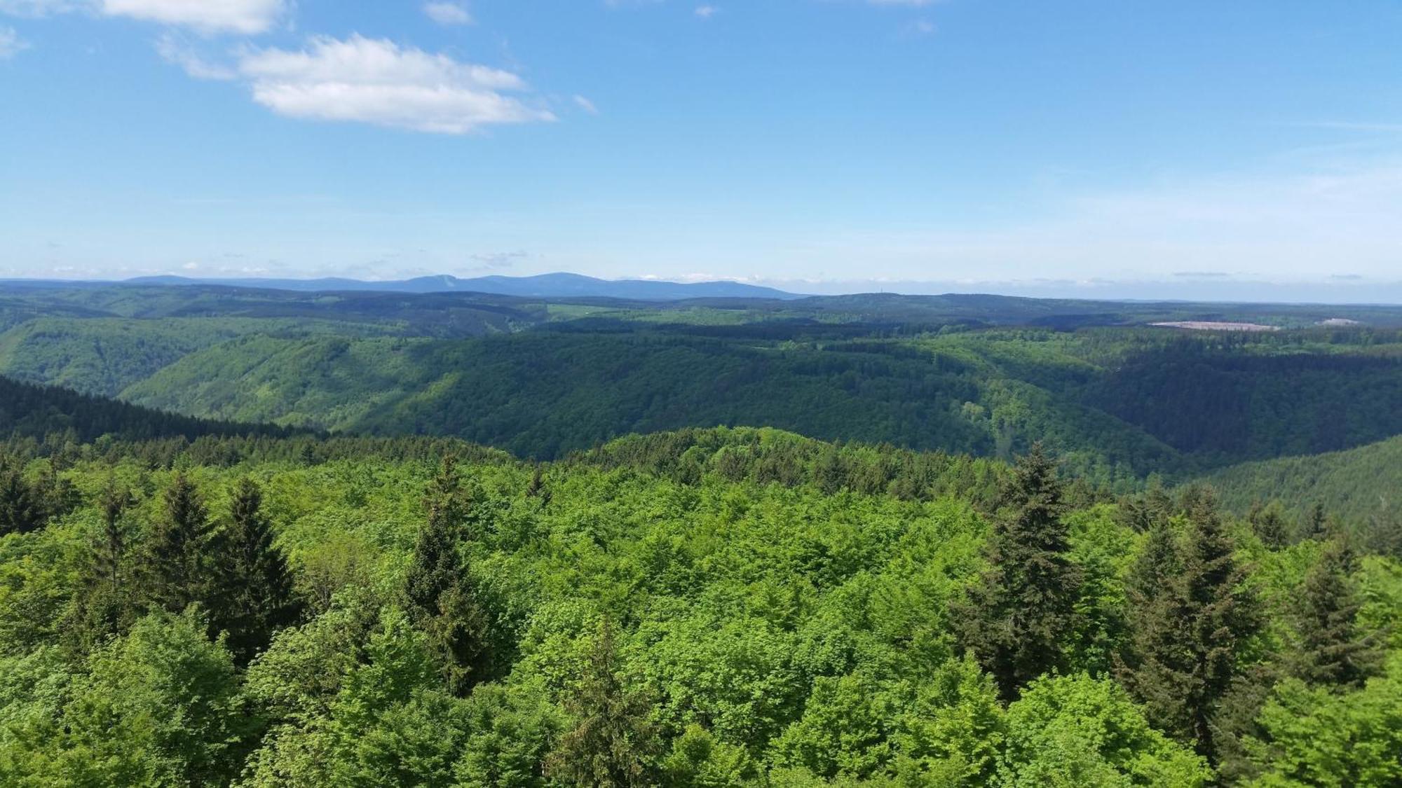 Willa Poolhaus Im Suedharz Harztor Zewnętrze zdjęcie
