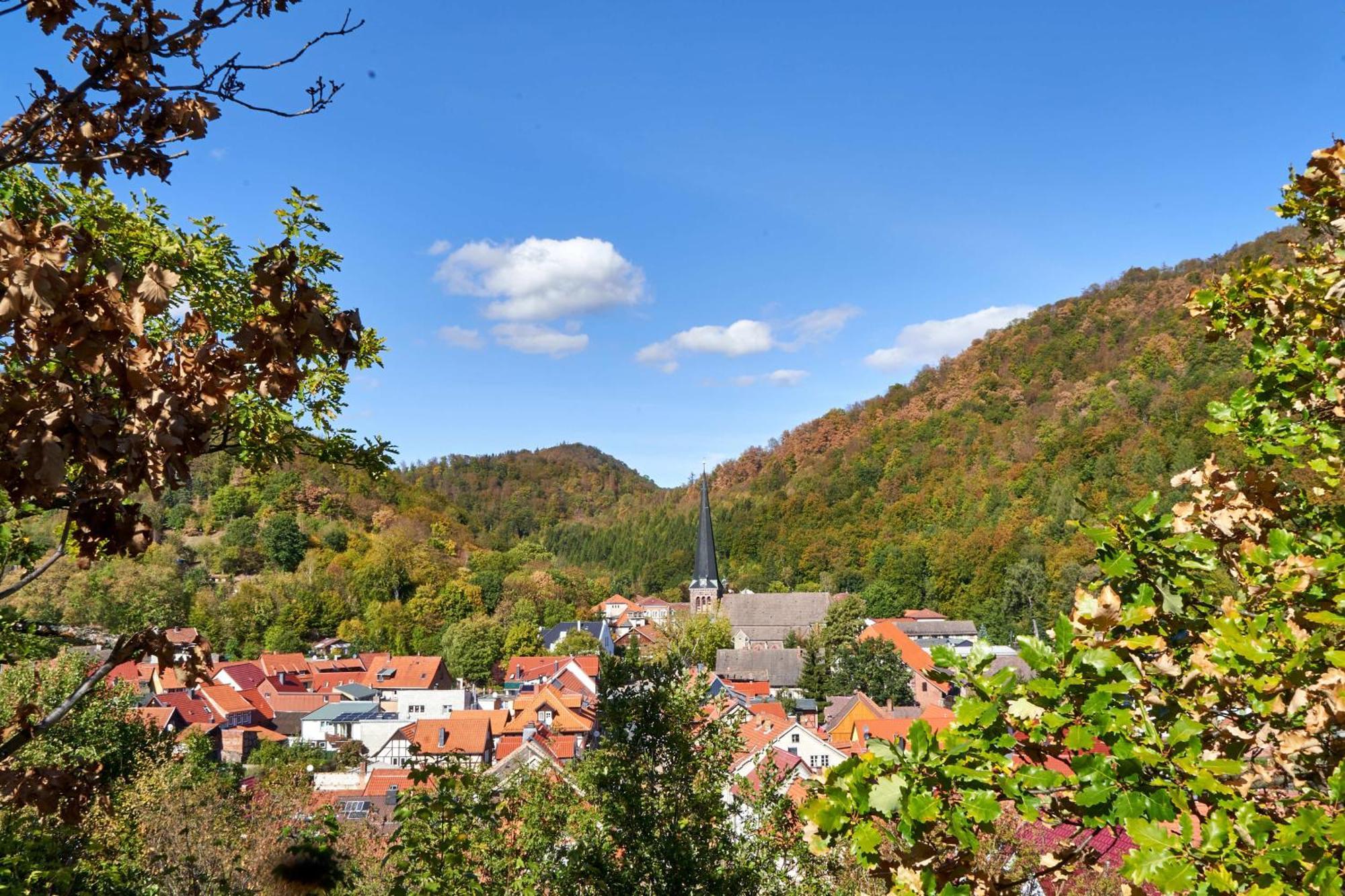 Willa Poolhaus Im Suedharz Harztor Zewnętrze zdjęcie