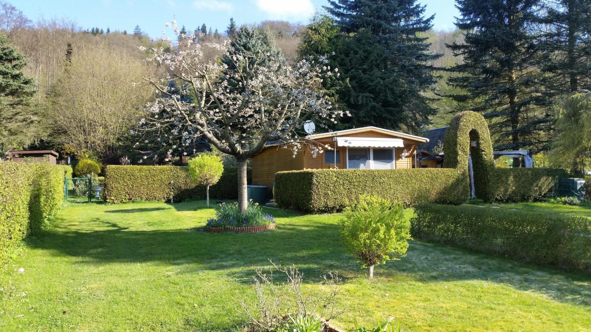 Willa Poolhaus Im Suedharz Harztor Zewnętrze zdjęcie